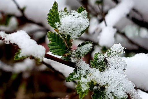 Төв, Дундговь аймгийн нутгаар бороо, уулаараа нойтон цас орно